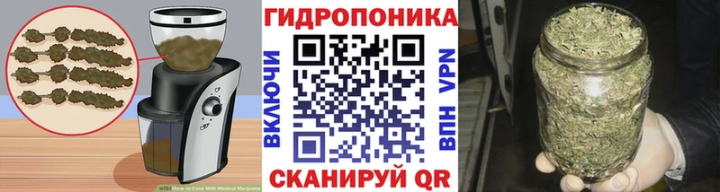 кракен онион  Выборг  Canna-Cookies марихуана 