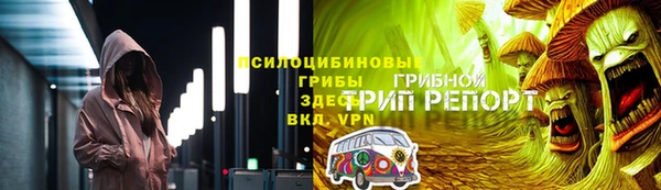 mix Бородино
