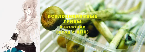 мдпв Бугульма