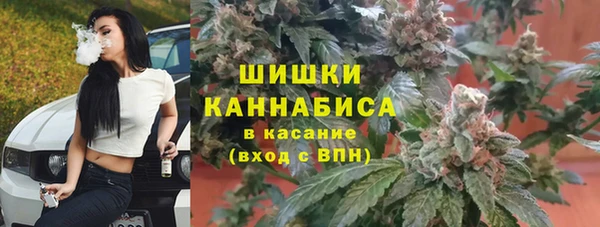 эйфоретик Тихвин