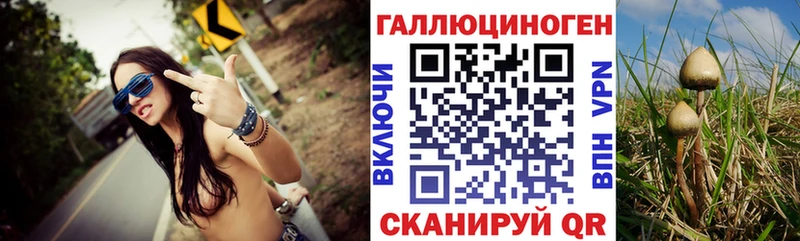 Галлюциногенные грибы мицелий  хочу   Выборг 