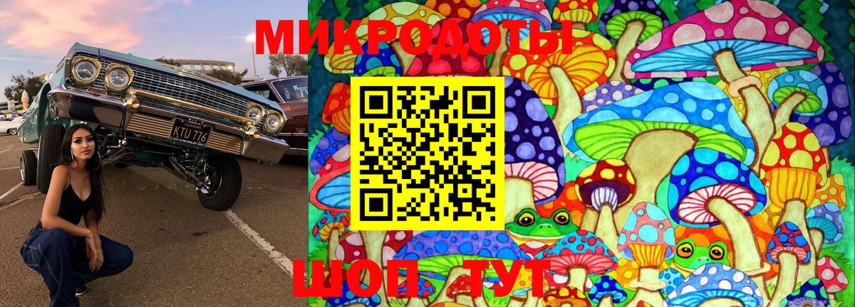 Псилоцибиновые грибы мицелий  Вход с VPN  Галлюциногенные грибы MAGIC MUSHROOMS  наркошоп  Выборг 