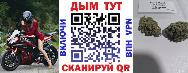 блэк спрут   сколько стоит  Выборг  Каннабис Bruce Banner 