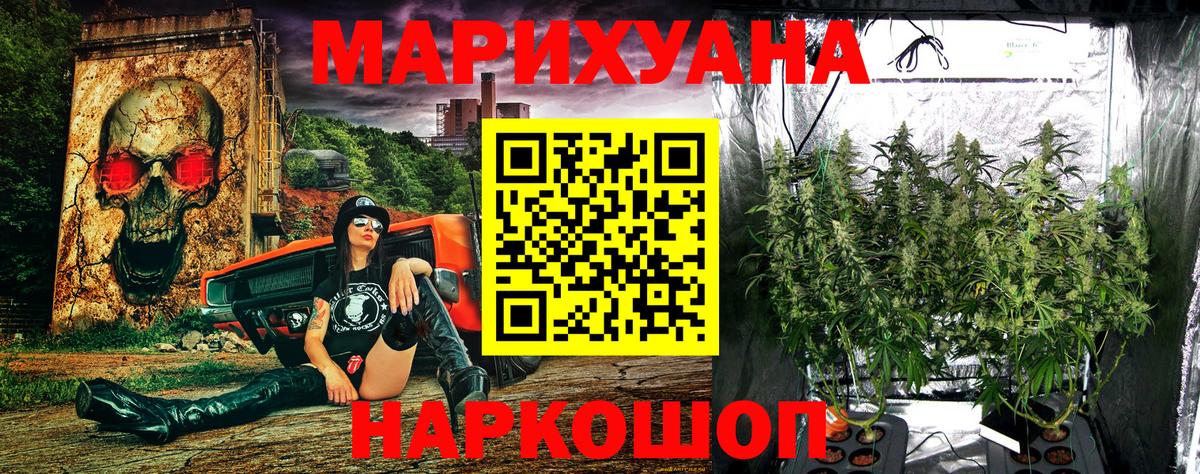 Шишки марихуана SATIVA & INDICA  Вход с VPN  Бошки марихуана White Widow  Выборг 